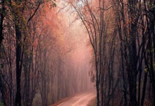 费耶诺德冲刺阶段防线松动，志在英超名次提升，更衣室稳定，资深球员宣示担当的简单介绍